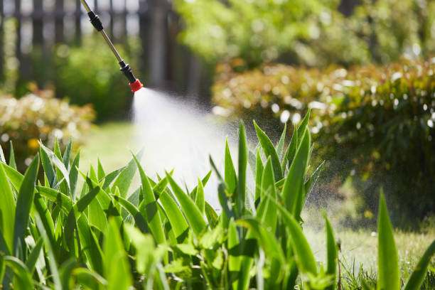 24/7 Emergency Termite Control experts in Gooding, ID